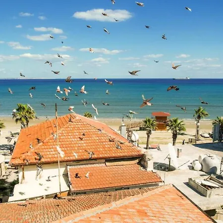 Anteias Seaview Finikoudes דירה *