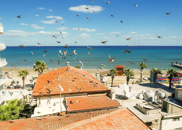 Anteia's Seaview Just Steps From Finikoudes Lägenhet *